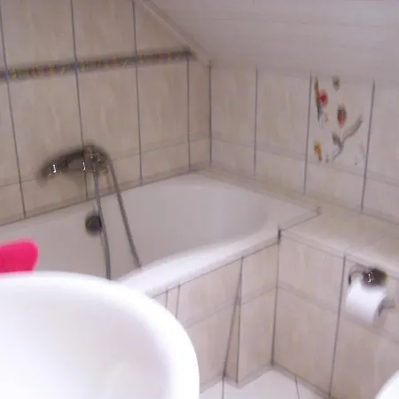 Ferienoase Im Zottbachtal Appartement Pleystein Buitenkant foto